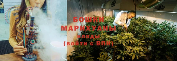 первитин Богданович